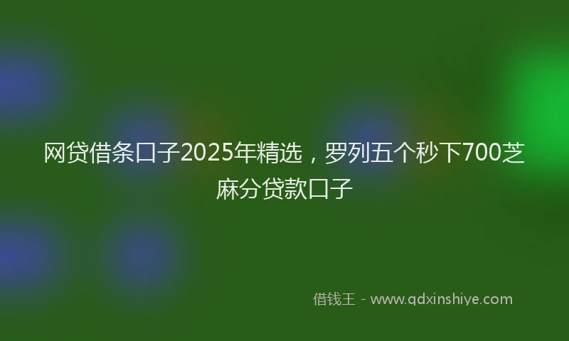 网贷借条口子2025年精选，罗列五个秒下700芝麻分贷款口子