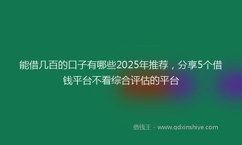 能借几百的口子有哪些2025年推荐，分享5个借钱平台不看综合评估的平台