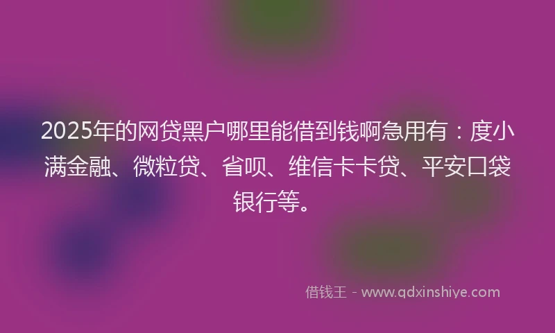 2025年的网贷黑户哪里能借到钱啊急用有：度小满金融、微粒贷、省呗、维信卡卡贷、平安口袋银行等。