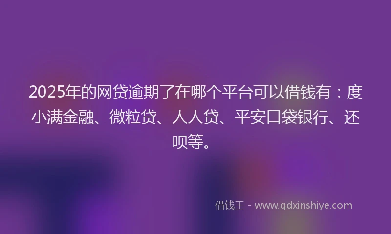 2025年的网贷逾期了在哪个平台可以借钱有：度小满金融、微粒贷、人人贷、平安口袋银行、还呗等。