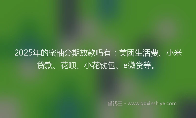 2025年的蜜柚分期放款吗有：美团生活费、小米贷款、花呗、小花钱包、e微贷等。