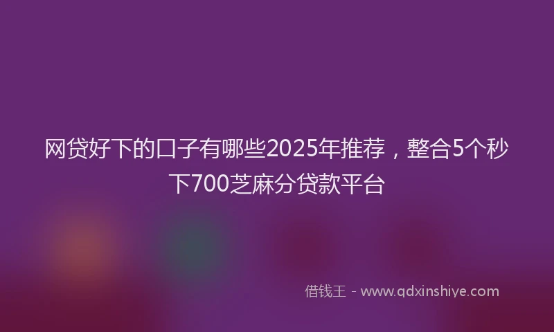 网贷好下的口子有哪些2025年推荐，整合5个秒下700芝麻分贷款平台
