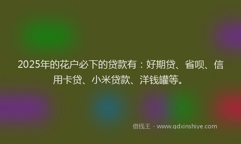2025年的花户必下的贷款有：好期贷、省呗、信用卡贷、小米贷款、洋钱罐等。