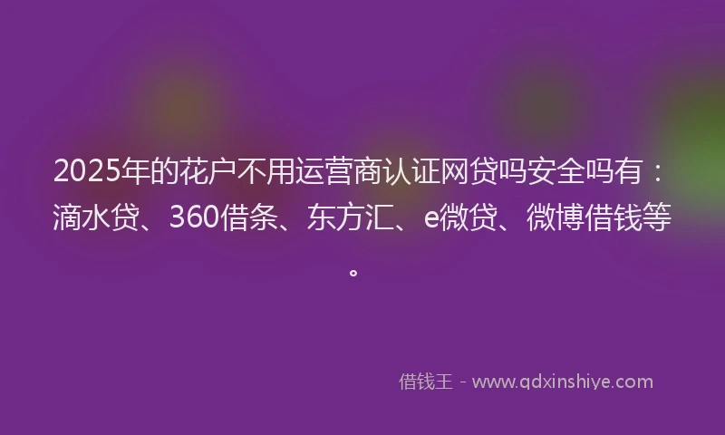 2025年的花户不用运营商认证网贷吗安全吗有：滴水贷、360借条、东方汇、e微贷、微博借钱等。
