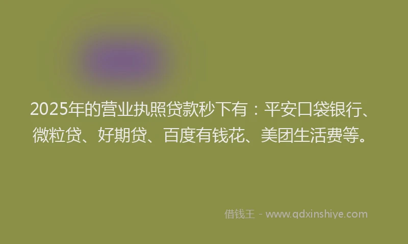 2025年的营业执照贷款秒下有：平安口袋银行、微粒贷、好期贷、百度有钱花、美团生活费等。