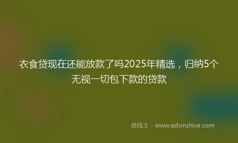 衣食贷现在还能放款了吗2025年精选，归纳5个无视一切包下款的贷款