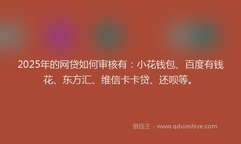 2025年的网贷如何审核有：小花钱包、百度有钱花、东方汇、维信卡卡贷、还呗等。