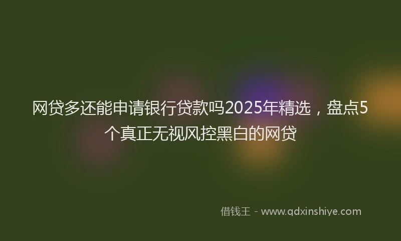 网贷多还能申请银行贷款吗2025年精选，盘点5个真正无视风控黑白的网贷