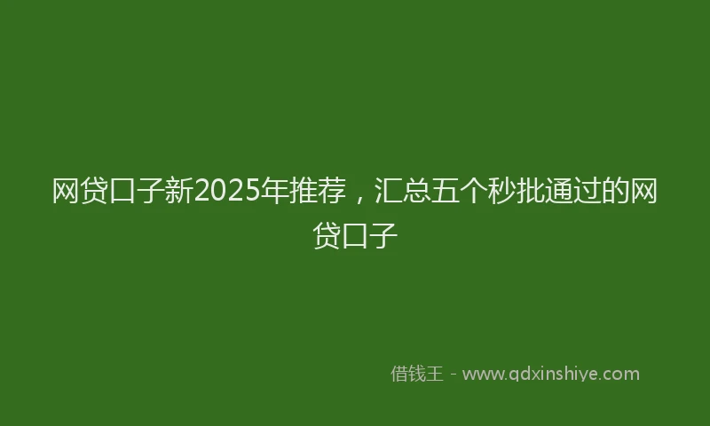 网贷口子新2025年推荐，汇总五个秒批通过的网贷口子