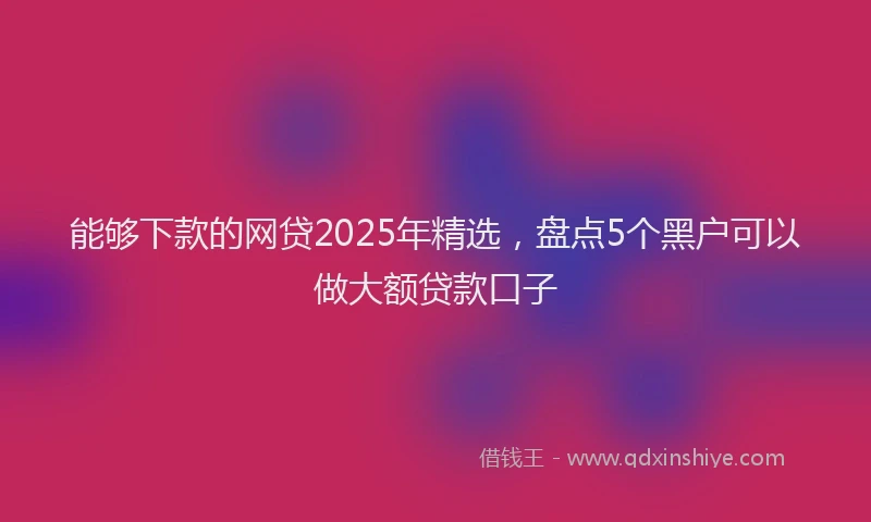能够下款的网贷2025年精选，盘点5个黑户可以做大额贷款口子