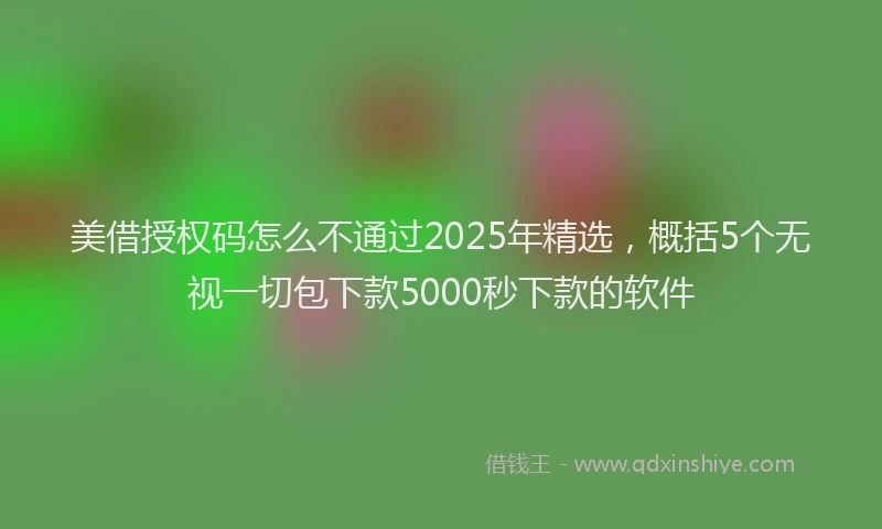 美借授权码怎么不通过2025年精选，概括5个无视一切包下款5000秒下款的软件