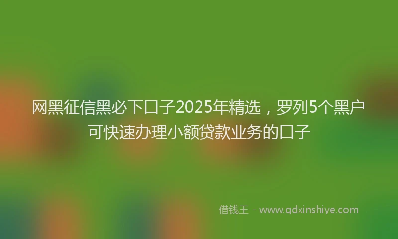 网黑征信黑必下口子2025年精选，罗列5个黑户可快速办理小额贷款业务的口子