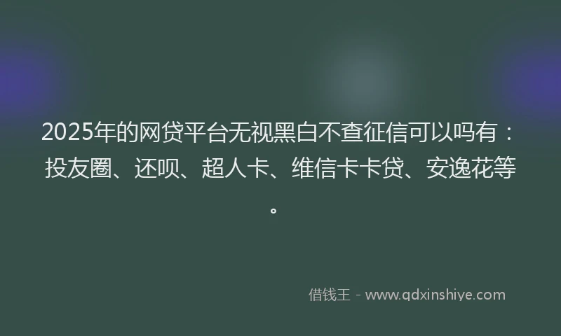 2025年的网贷平台无视黑白不查征信可以吗有：投友圈、还呗、超人卡、维信卡卡贷、安逸花等。