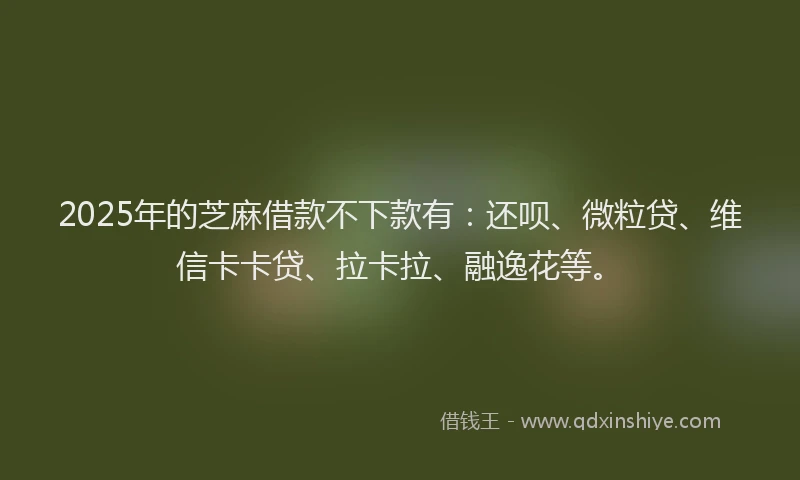 2025年的芝麻借款不下款有：还呗、微粒贷、维信卡卡贷、拉卡拉、融逸花等。