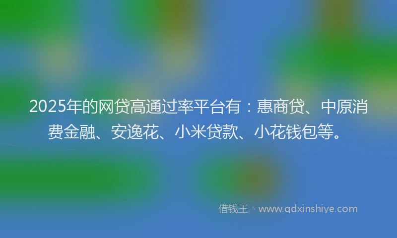 2025年的网贷高通过率平台有：惠商贷、中原消费金融、安逸花、小米贷款、小花钱包等。