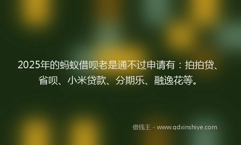 2025年的蚂蚁借呗老是通不过申请有：拍拍贷、省呗、小米贷款、分期乐、融逸花等。