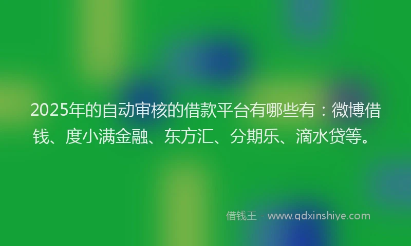 2025年的自动审核的借款平台有哪些有：微博借钱、度小满金融、东方汇、分期乐、滴水贷等。