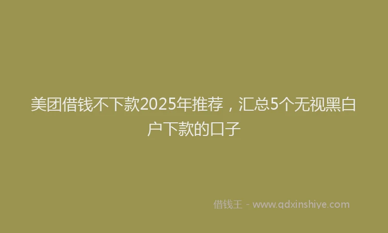 美团借钱不下款2025年推荐，汇总5个无视黑白户下款的口子