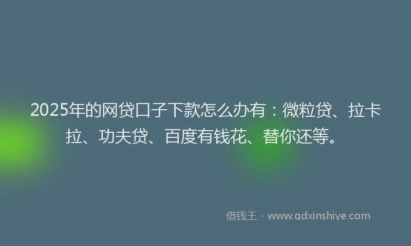 2025年的网贷口子下款怎么办有：微粒贷、拉卡拉、功夫贷、百度有钱花、替你还等。