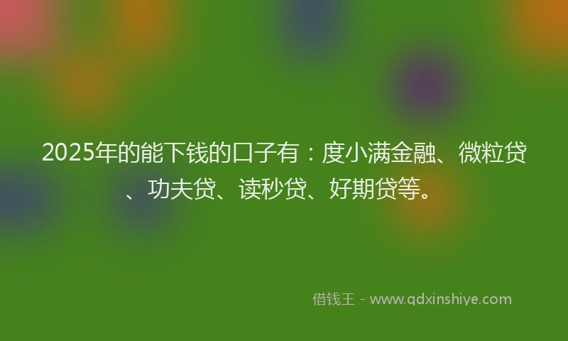2025年的能下钱的口子有：度小满金融、微粒贷、功夫贷、读秒贷、好期贷等。