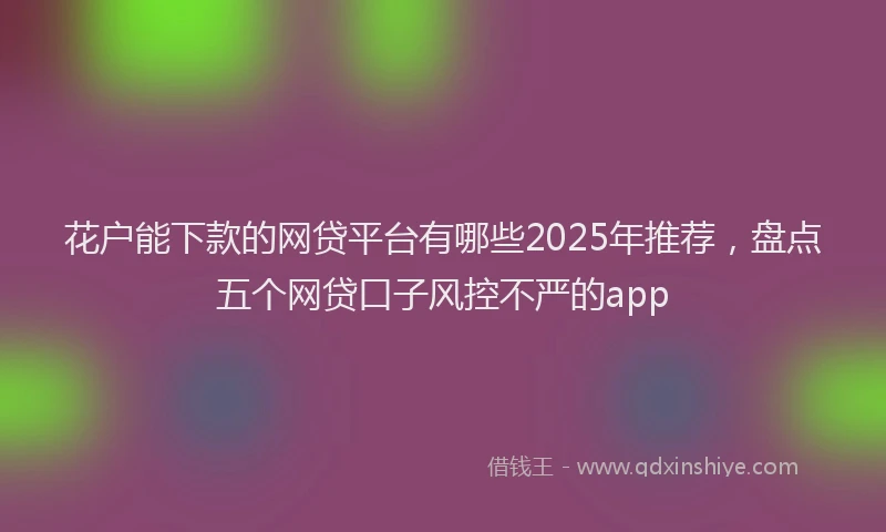花户能下款的网贷平台有哪些2025年推荐，盘点五个网贷口子风控不严的app
