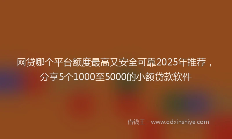 网贷哪个平台额度最高又安全可靠2025年推荐，分享5个1000至5000的小额贷款软件