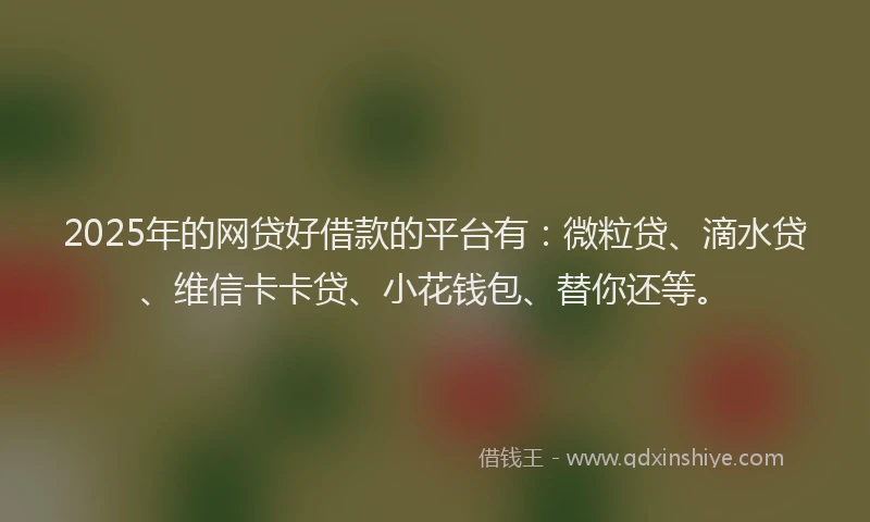 2025年的网贷好借款的平台有：微粒贷、滴水贷、维信卡卡贷、小花钱包、替你还等。
