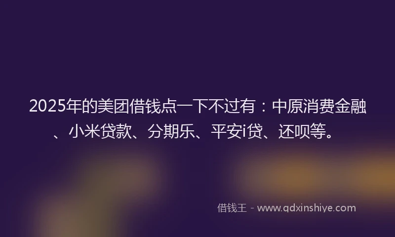 2025年的美团借钱点一下不过有：中原消费金融、小米贷款、分期乐、平安i贷、还呗等。