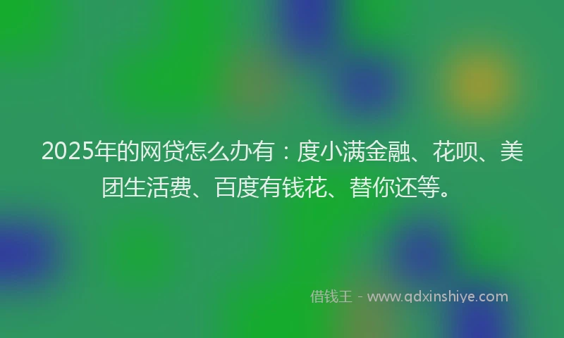 2025年的网贷怎么办有：度小满金融、花呗、美团生活费、百度有钱花、替你还等。