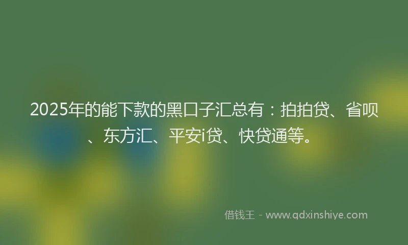 2025年的能下款的黑口子汇总有：拍拍贷、省呗、东方汇、平安i贷、快贷通等。
