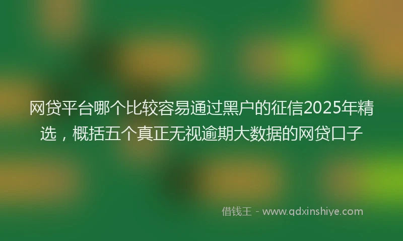 网贷平台哪个比较容易通过黑户的征信2025年精选，概括五个真正无视逾期大数据的网贷口子