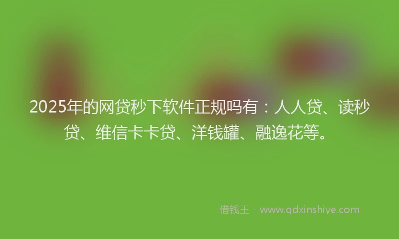 2025年的网贷秒下软件正规吗有：人人贷、读秒贷、维信卡卡贷、洋钱罐、融逸花等。