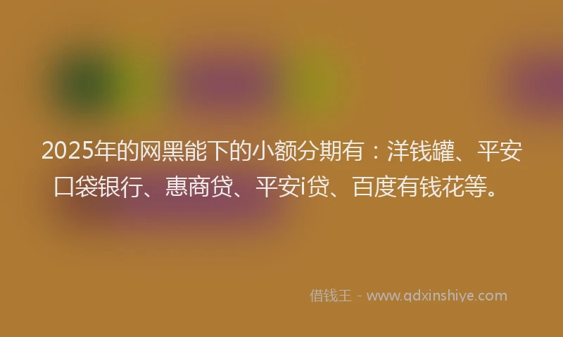 2025年的网黑能下的小额分期有：洋钱罐、平安口袋银行、惠商贷、平安i贷、百度有钱花等。