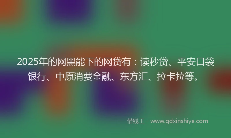 2025年的网黑能下的网贷有：读秒贷、平安口袋银行、中原消费金融、东方汇、拉卡拉等。