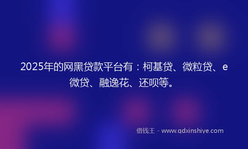 2025年的网黑贷款平台有：柯基贷、微粒贷、e微贷、融逸花、还呗等。