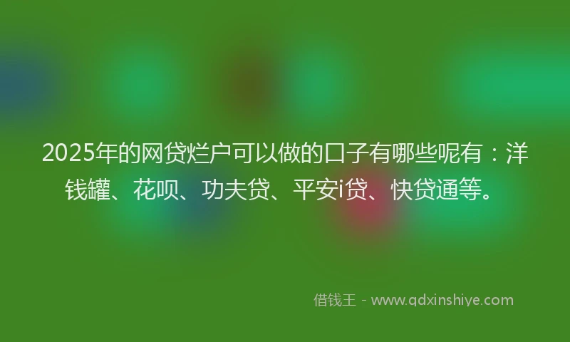 2025年的网贷烂户可以做的口子有哪些呢有：洋钱罐、花呗、功夫贷、平安i贷、快贷通等。