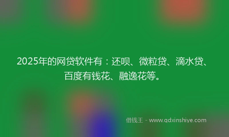 2025年的网贷软件有：还呗、微粒贷、滴水贷、百度有钱花、融逸花等。
