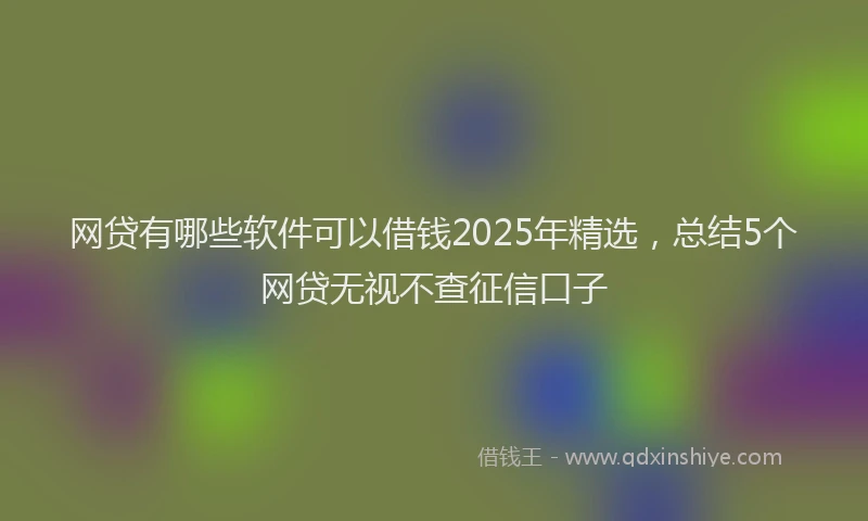 网贷有哪些软件可以借钱2025年精选，总结5个网贷无视不查征信口子