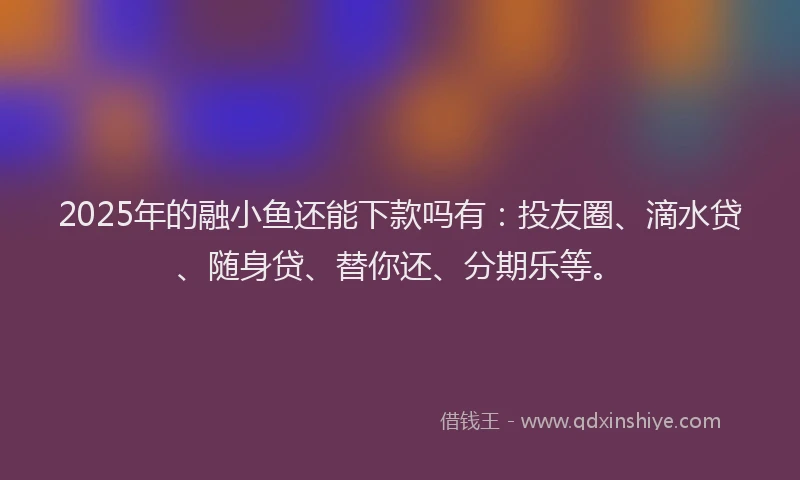 2025年的融小鱼还能下款吗有：投友圈、滴水贷、随身贷、替你还、分期乐等。