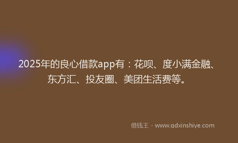 2025年的良心借款app有：花呗、度小满金融、东方汇、投友圈、美团生活费等。