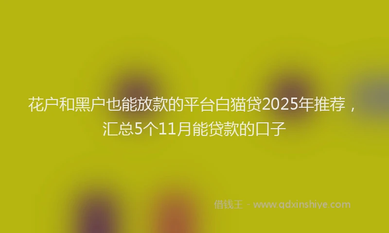 花户和黑户也能放款的平台白猫贷2025年推荐，汇总5个11月能贷款的口子