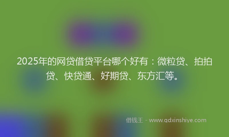 2025年的网贷借贷平台哪个好有：微粒贷、拍拍贷、快贷通、好期贷、东方汇等。