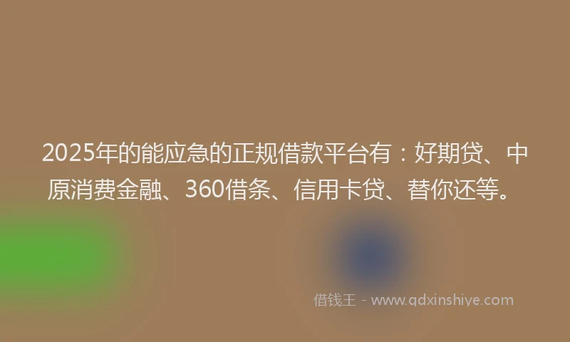 2025年的能应急的正规借款平台有：好期贷、中原消费金融、360借条、信用卡贷、替你还等。