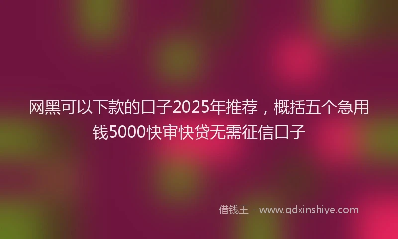 网黑可以下款的口子2025年推荐，概括五个急用钱5000快审快贷无需征信口子