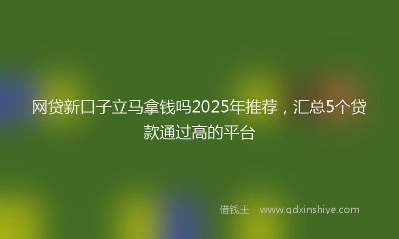 网贷新口子立马拿钱吗2025年推荐，汇总5个贷款通过高的平台