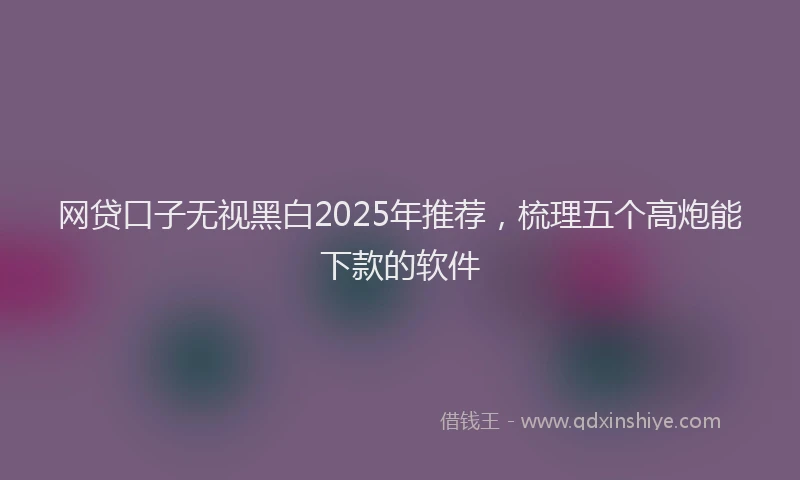 网贷口子无视黑白2025年推荐，梳理五个高炮能下款的软件