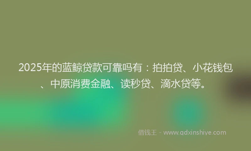 2025年的蓝鲸贷款可靠吗有：拍拍贷、小花钱包、中原消费金融、读秒贷、滴水贷等。