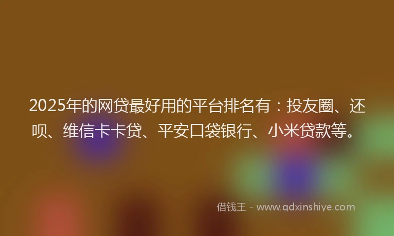 2025年的网贷最好用的平台排名有：投友圈、还呗、维信卡卡贷、平安口袋银行、小米贷款等。