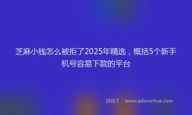 芝麻小钱怎么被拒了2025年精选，概括5个新手机号容易下款的平台