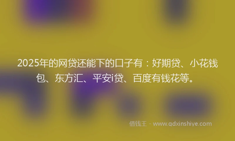 2025年的网贷还能下的口子有：好期贷、小花钱包、东方汇、平安i贷、百度有钱花等。